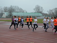 Powiatowe IMS BP (3)